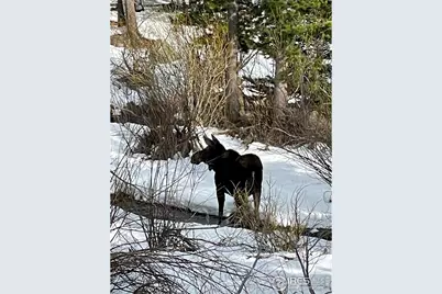 1565 Highway 66 #27, Estes Park, CO 80517 - Photo 8