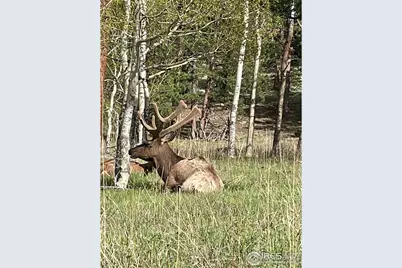 1565 Highway 66 #27, Estes Park, CO 80517 - Photo 20