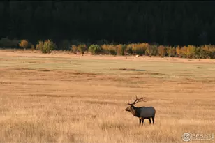 1565 Hwy 66, Estes Park, CO 80517 - Photo 18