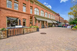 530 Peterson St, Fort Collins, CO 80524 - Photo 32