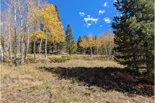 11 Bear Gulch Rd, Red Feather Lakes, CO 80545 - Photo 1