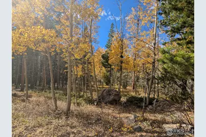 11 Bear Gulch Rd, Red Feather Lakes, CO 80545 - Photo 2