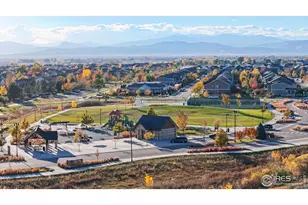 6794 Spring Rain Rd, Timnath, CO 80547 - Photo 48