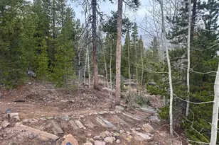 44 Natchez Cir, Red Feather Lakes, CO 80545 - Photo 18