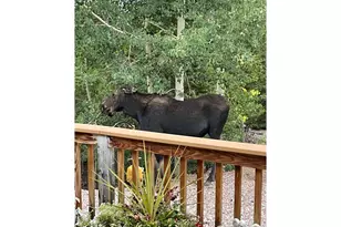 44 Natchez Cir, Red Feather Lakes, CO 80545 - Photo 24