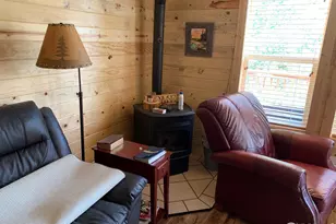 44 Natchez Cir, Red Feather Lakes, CO 80545 - Photo 4