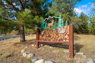 10691 Tomichi Dr, Franktown, CO 80116 - Photo 48