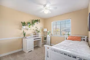 5872 Merganser Ct, Longmont, CO 80504 - Photo 26