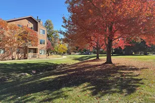 6201 Willow Ln, Boulder, CO 80301 - Photo 4