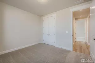 1825 Flourish Dr, Windsor, CO 80550 - Photo 20