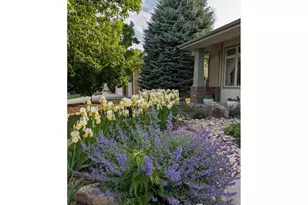 1577 Bison Run Dr, Windsor, CO 80550 - Photo 44