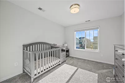 950 Rustling St, Windsor, CO 80550 - Photo 32