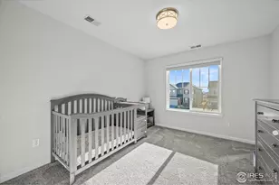 950 Rustling St, Windsor, CO 80550 - Photo 32