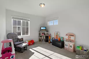 673 Harvard St, Johnstown, CO 80534 - Photo 28