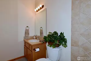 1047 Canal Dr, Windsor, CO 80550 - Photo 36