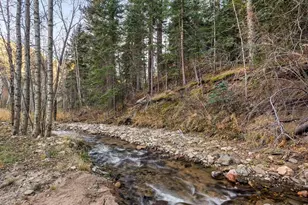 1035 Streamside Dr, Glen Haven, CO 80532 - Photo 4