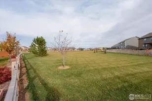 869 Charlton Dr, Windsor, CO 80550 - Photo 30