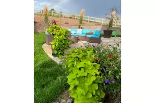 2037 Aster Ln, Lafayette, CO 80026 - Photo 42