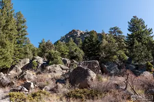 60 Horn Peak Dr, Livermore, CO 80536 - Photo 40