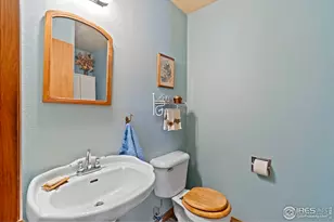 60 Horn Peak Dr, Livermore, CO 80536 - Photo 20