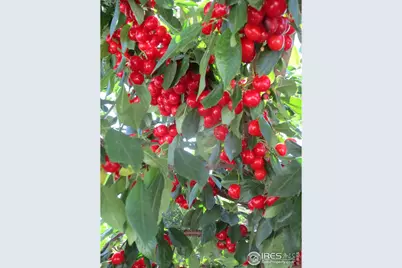 800 Gateway Park Ln, Berthoud, CO 80513 - Photo 16