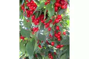 800 Gateway Park Ln, Berthoud, CO 80513 - Photo 16