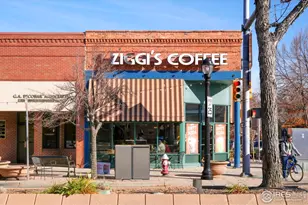 409 Terry St, Longmont, CO 80501 - Photo 26