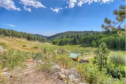 24 Hickok Trl, Ward, CO 80481 - Photo 16