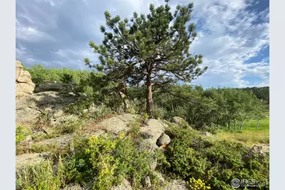 24 Hickok Trl, Ward, CO 80481 - Photo 6