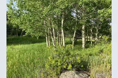 24 Hickok Trl, Ward, CO 80481 - Photo 8