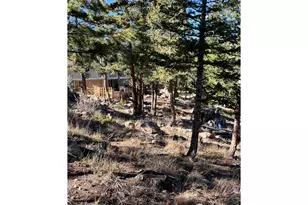 4360 Green Mountain Dr, Livermore, CO 80536 - Photo 24