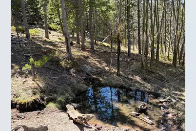 0 Bear Gulch Rd, Red Feather Lakes, CO 80545 - Photo 36