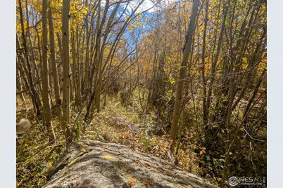 0 Bear Gulch Rd, Red Feather Lakes, CO 80545 - Photo 30