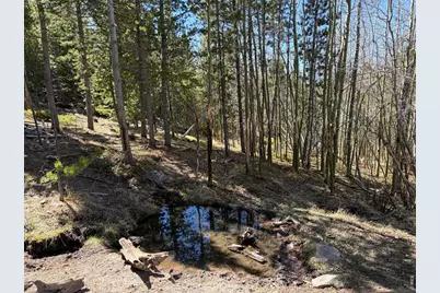 0 Bear Gulch Rd, Red Feather Lakes, CO 80545 - Photo 1