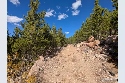 0 Bear Gulch Rd, Red Feather Lakes, CO 80545 - Photo 28
