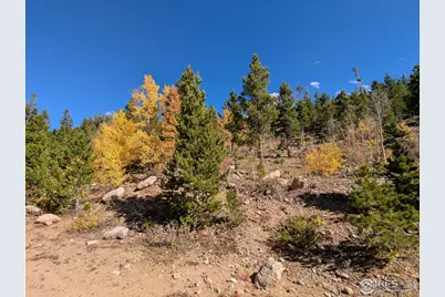 0 Bear Gulch Rd, Red Feather Lakes, CO 80545 - Photo 4