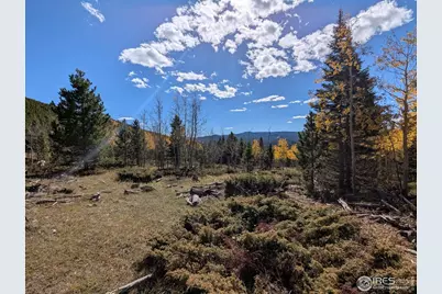 0 Bear Gulch Rd, Red Feather Lakes, CO 80545 - Photo 6