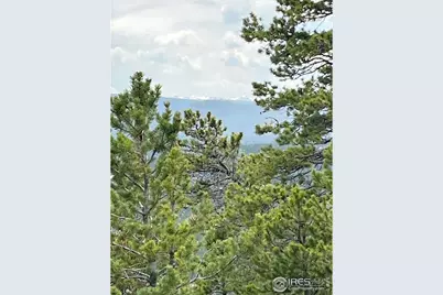 0 Bear Gulch Rd, Red Feather Lakes, CO 80545 - Photo 10
