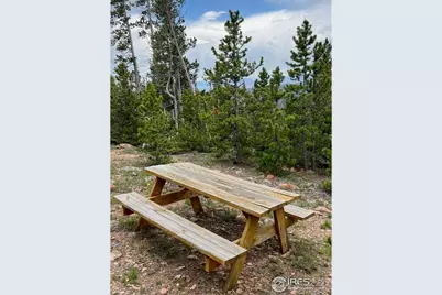 0 Bear Gulch Rd, Red Feather Lakes, CO 80545 - Photo 12