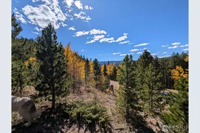 0 Bear Gulch Rd, Red Feather Lakes, CO 80545 - Photo 2