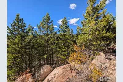 0 Bear Gulch Rd, Red Feather Lakes, CO 80545 - Photo 28