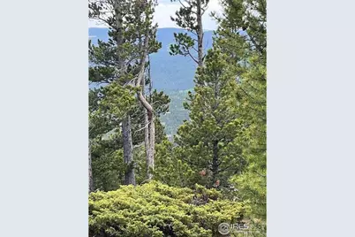 0 Bear Gulch Rd, Red Feather Lakes, CO 80545 - Photo 14