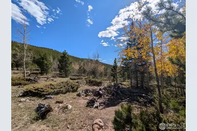 0 Bear Gulch Rd, Red Feather Lakes, CO 80545 - Photo 24