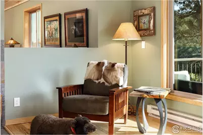 321 May Ave, Lyons, CO 80540 - Photo 12