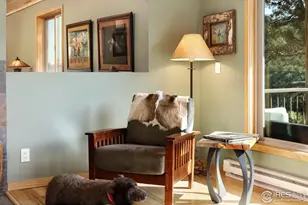 321 May Ave, Lyons, CO 80540 - Photo 12