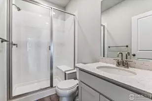 866 Mesic Ln, Windsor, CO 80550 - Photo 6