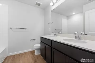 866 Mesic Ln, Windsor, CO 80550 - Photo 28