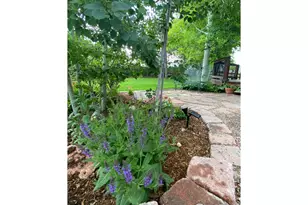 7966 Liley Ct, Frederick, CO 80530 - Photo 30