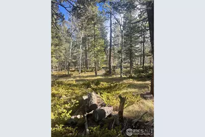 399 N Skinner Rd, Allenspark, CO 80510 - Photo 16
