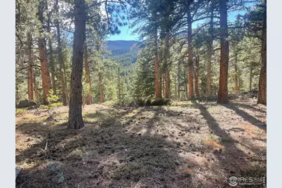 399 N Skinner Rd, Allenspark, CO 80510 - Photo 2